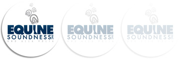 Equine Soundness